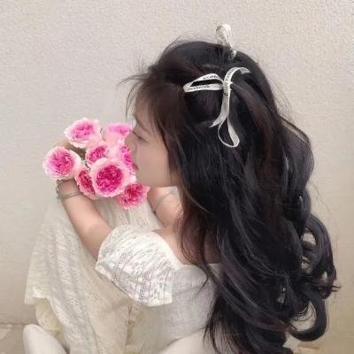 蜡笔小新之黑暗珠珠大追击